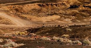 百家乐新手别乱调整（百家乐新手切勿盲目调整）