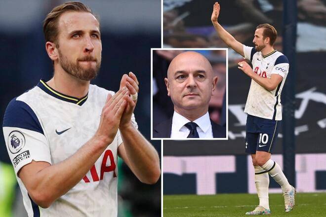 持久性与稳 持久性与稳